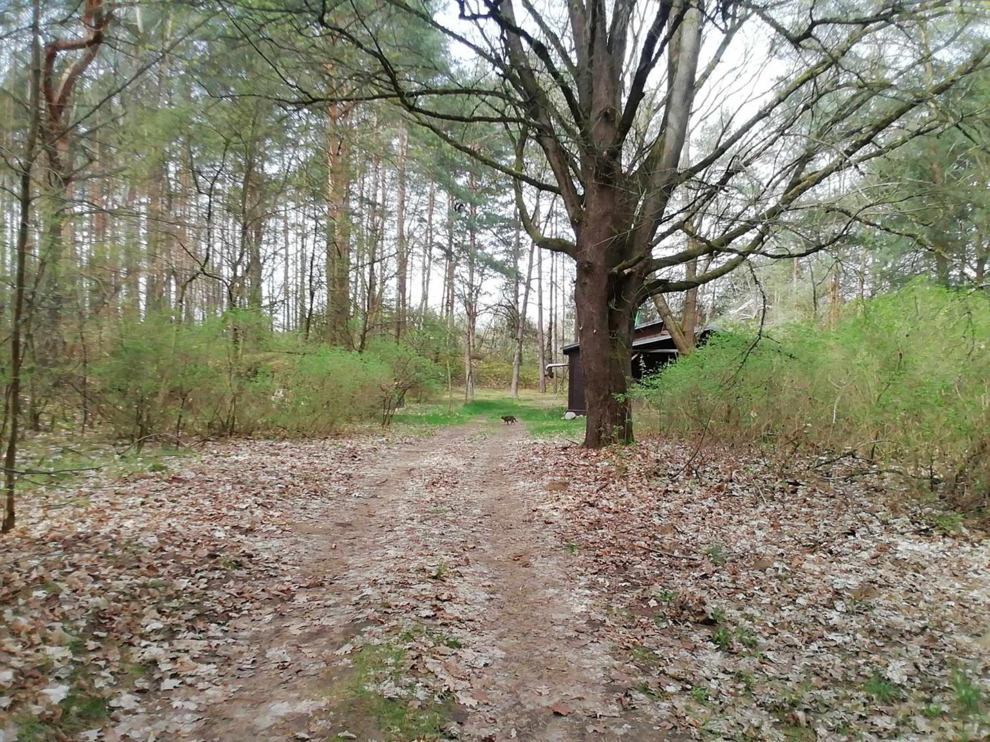 Przystan U Zosi Vila Drawsko  Exterior foto